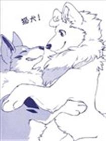 狐犬漫画