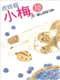 虎斑猫小梅漫画