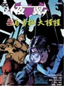 夜翼与马吉拉大猩猩漫画