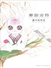 药师波特漫画