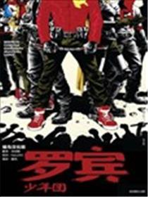 罗宾少年团漫画