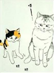 我曾经巨讨厌猫来的漫画