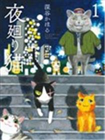 夜巡猫漫画