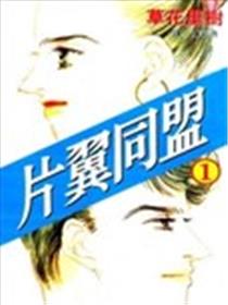 片翼同盟漫画