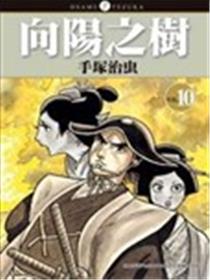 向阳之树漫画