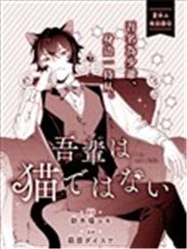 吾辈不是猫漫画