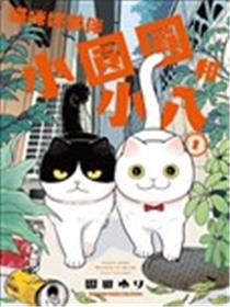 猫咪好伙伴小圆圆和小八漫画