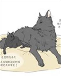 狗狗猫猫漫画