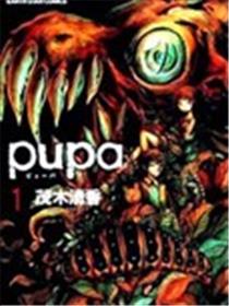 pupa漫画