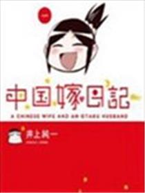 中国嫁日记漫画