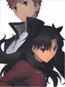 Fate/stay night [Unlimited Blade Works] Animation Visual Guide漫画