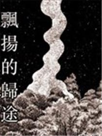 飘扬的归途漫画