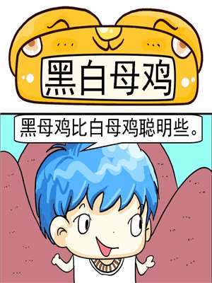 黑白母鸡漫画