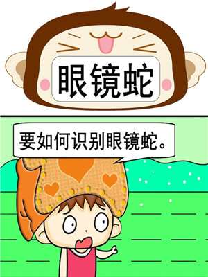 眼镜蛇漫画