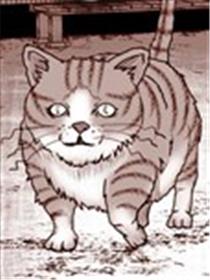 知晓宇宙真理的猫咪漫画