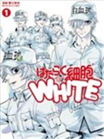 工作细胞WHITE漫画